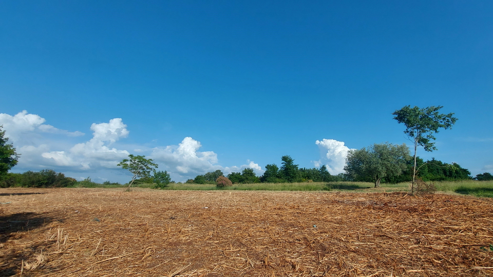 Building land  near  Umag